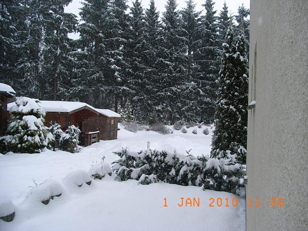 Blechleppel - Die Pension Im Harz Benneckenstein Extérieur photo